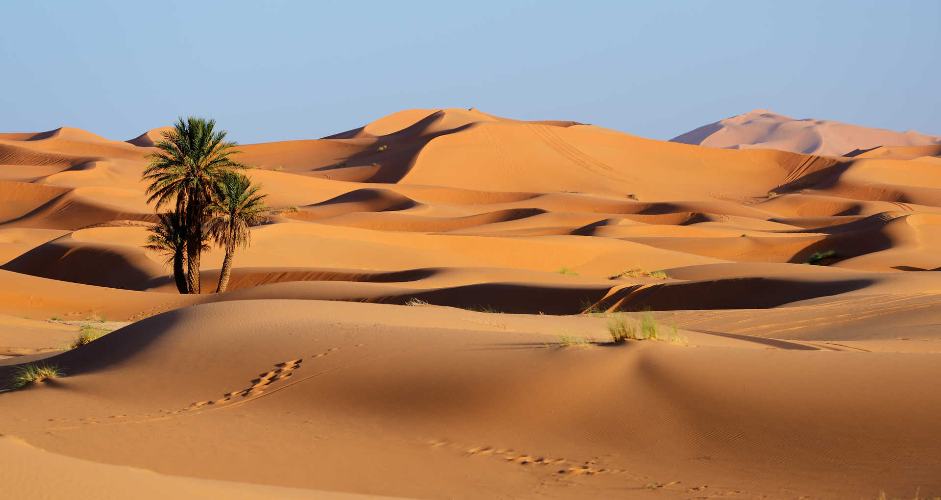 A camel caravan traversing large sand dunes