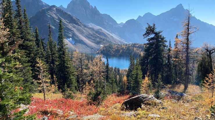 A canoe on a calm lake surrounded by deep forest